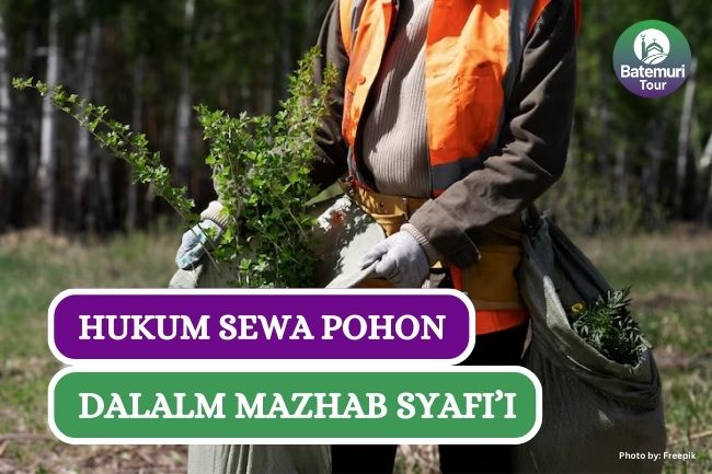 Hukum Sewa Pohon Menurut Mazhab Syafii dalam Islam